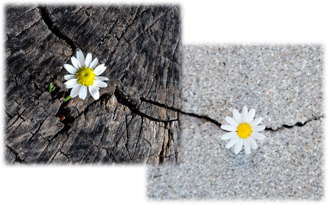 27ο Τετραήμερο Workshop Gestalt