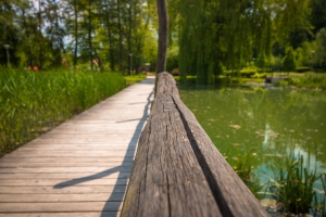 2&eta; &Delta;&iota;&epsilon;&theta;&nu;ή&sigmaf; &Kappa;&alpha;&lambda;&omicron;&kappa;&alpha;&iota;&rho;&iota;&nu;ή &Kappa;&alpha;&tau;&alpha;&sigma;&kappa;ή&nu;&omega;&sigma;&eta;